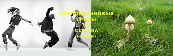 мдма Переславль-Залесский