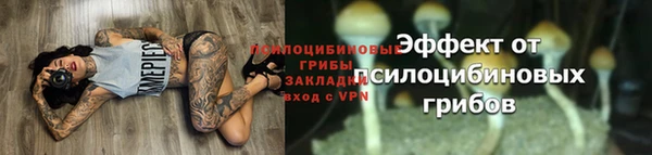 Альфа ПВП Пестово