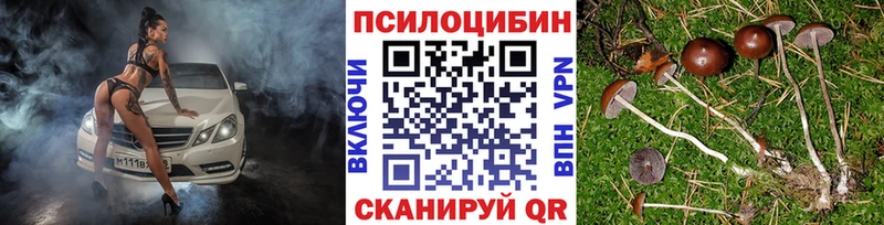 Псилоцибиновые грибы MAGIC MUSHROOMS  Ленск 